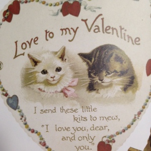 =?utf-8?Q?To_my_Valentine=E2=9D=A4=EF=B8=8F?=