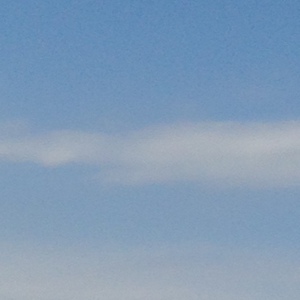 3月11日
