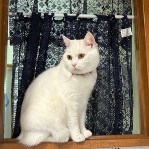 noteに投稿しました。